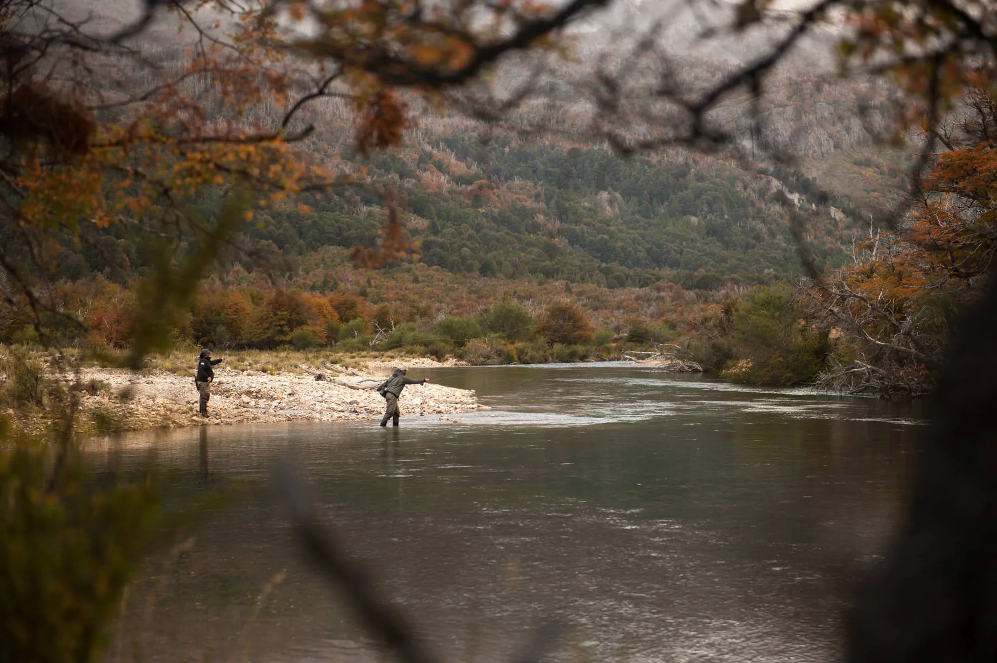 Anglers wading a Patagonian river in autumn